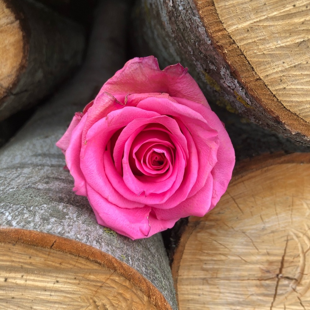 Meet your Posher, Trista